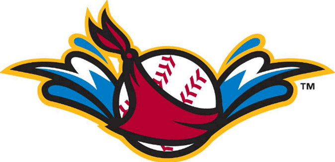 Quad Cities River Bandits 2014-Pres Alternate Logo iron on transfers for clothing